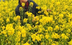 关于日本援助中国的议论文